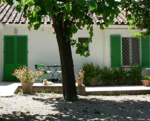 136094_cuevas-del-pino_1437038425_o