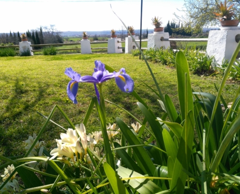 12823507_1053167691393135_732217572601854947_o